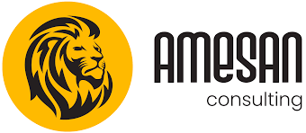 Amesan Consulting